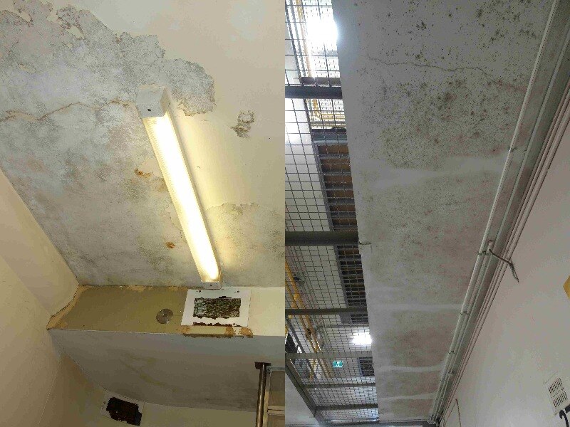 Techos con moho, la pintura se está despegando.