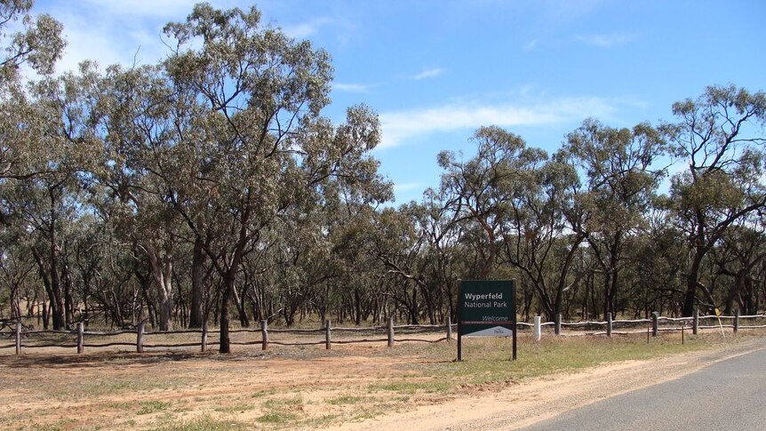 Wyperfeld National Park in the north west corner of Victoria