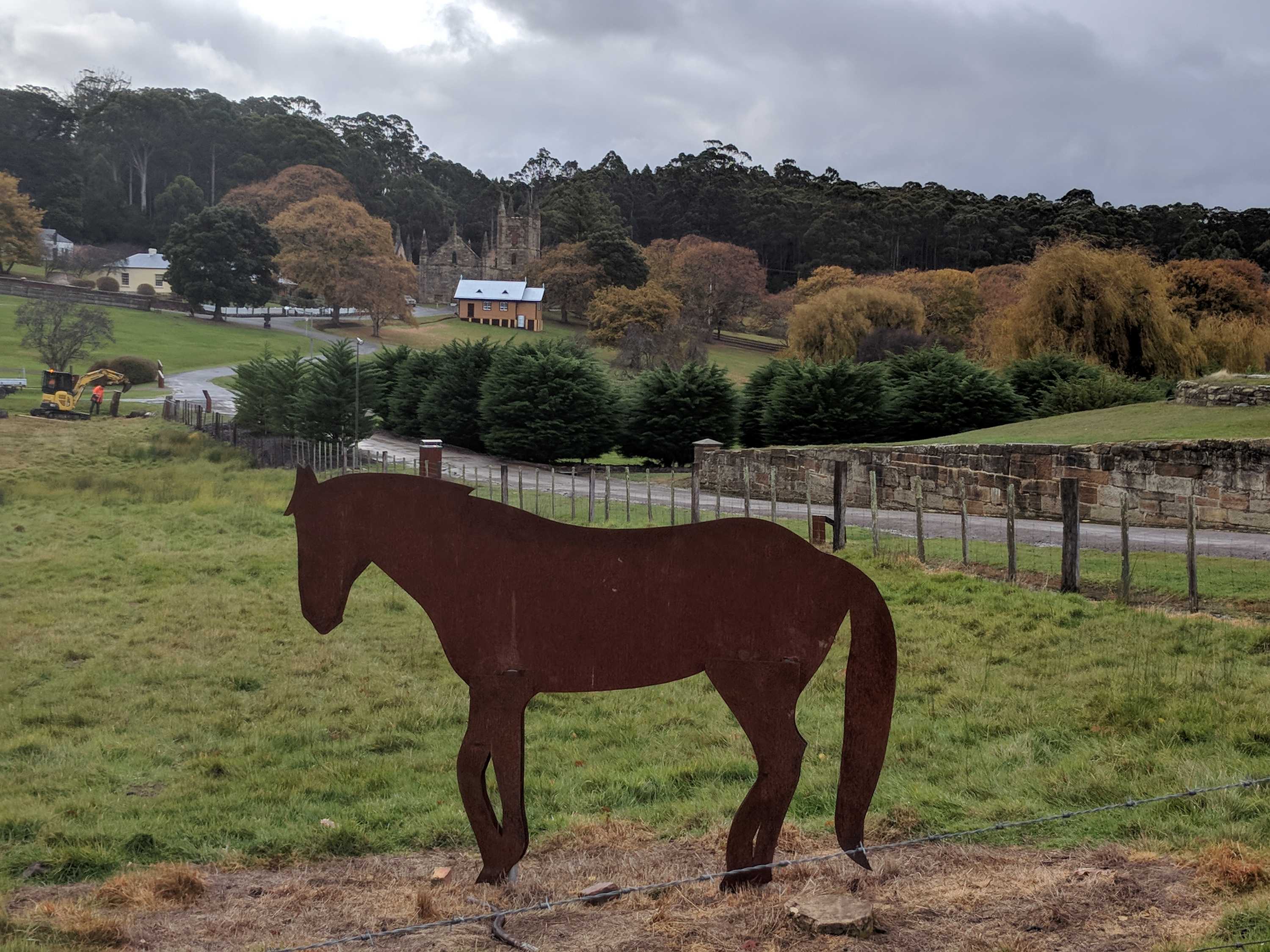 170yearold hair from plaster in Tasmania