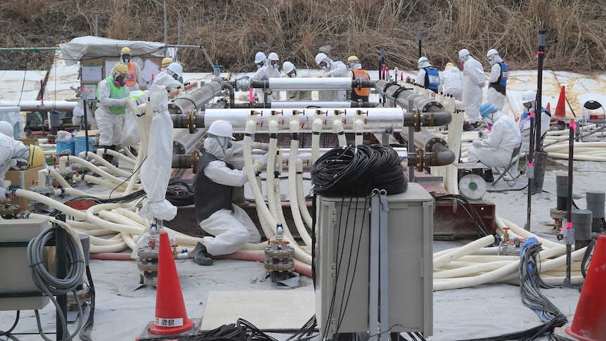 Work begins on an underground ice wall at the Fukushima nuclear plant
