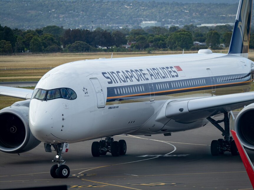 A Singapore Airlines plane on the tarmac at Adelaide Airport.