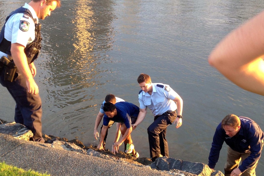 Police help a man from the Brisbane River at South Bank after he fell in.