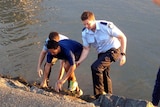 Police help a man from the Brisbane River at South Bank after he fell in.