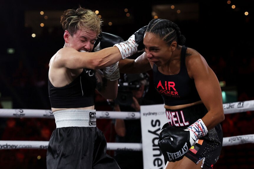 Zwei Boxerinnen schlagen sich während eines Kampfes gegenseitig 