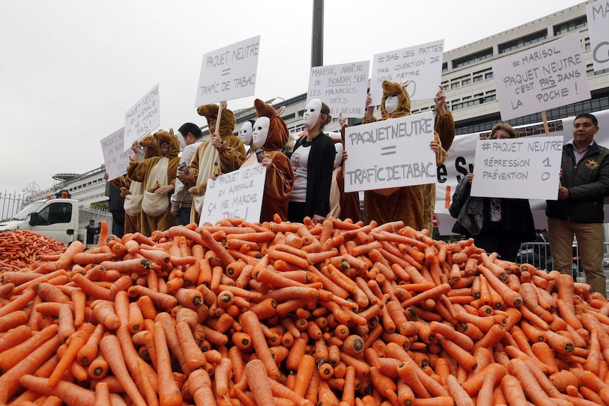 Protesters stand behind tons of carrots dumped in Paris.