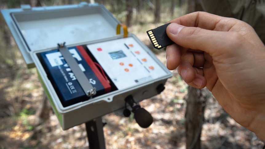 A SD card being inserted for recording the acoustics at a creek site for solar-powered sensors