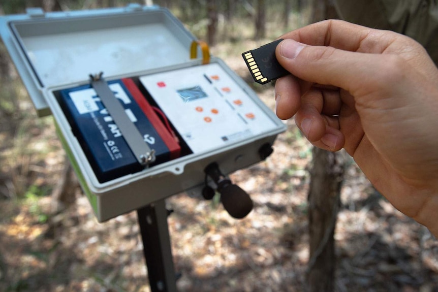 A SD card being inserted for recording the acoustics at a creek site for solar-powered sensors