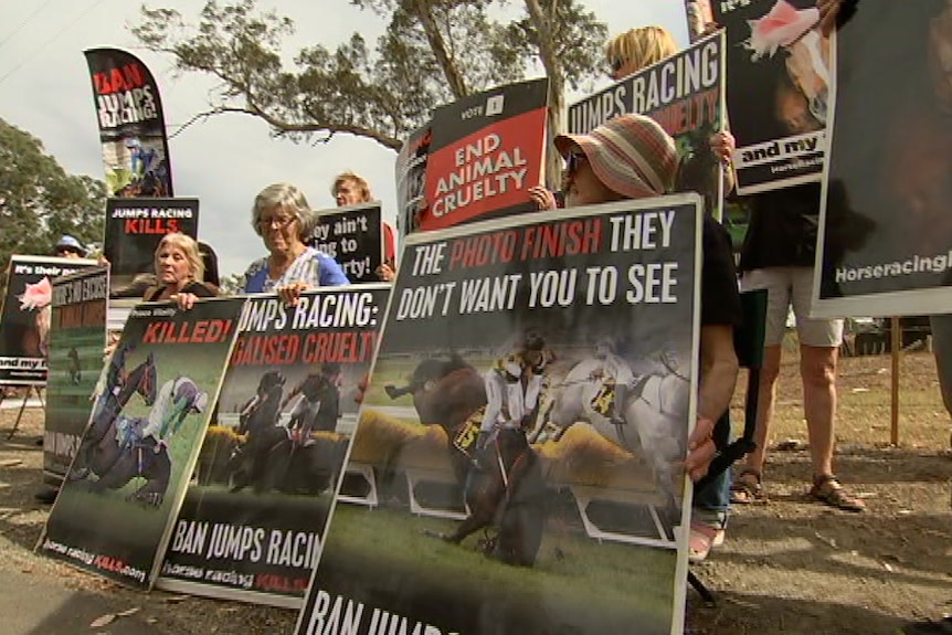 Protesters with signs showing horses falling