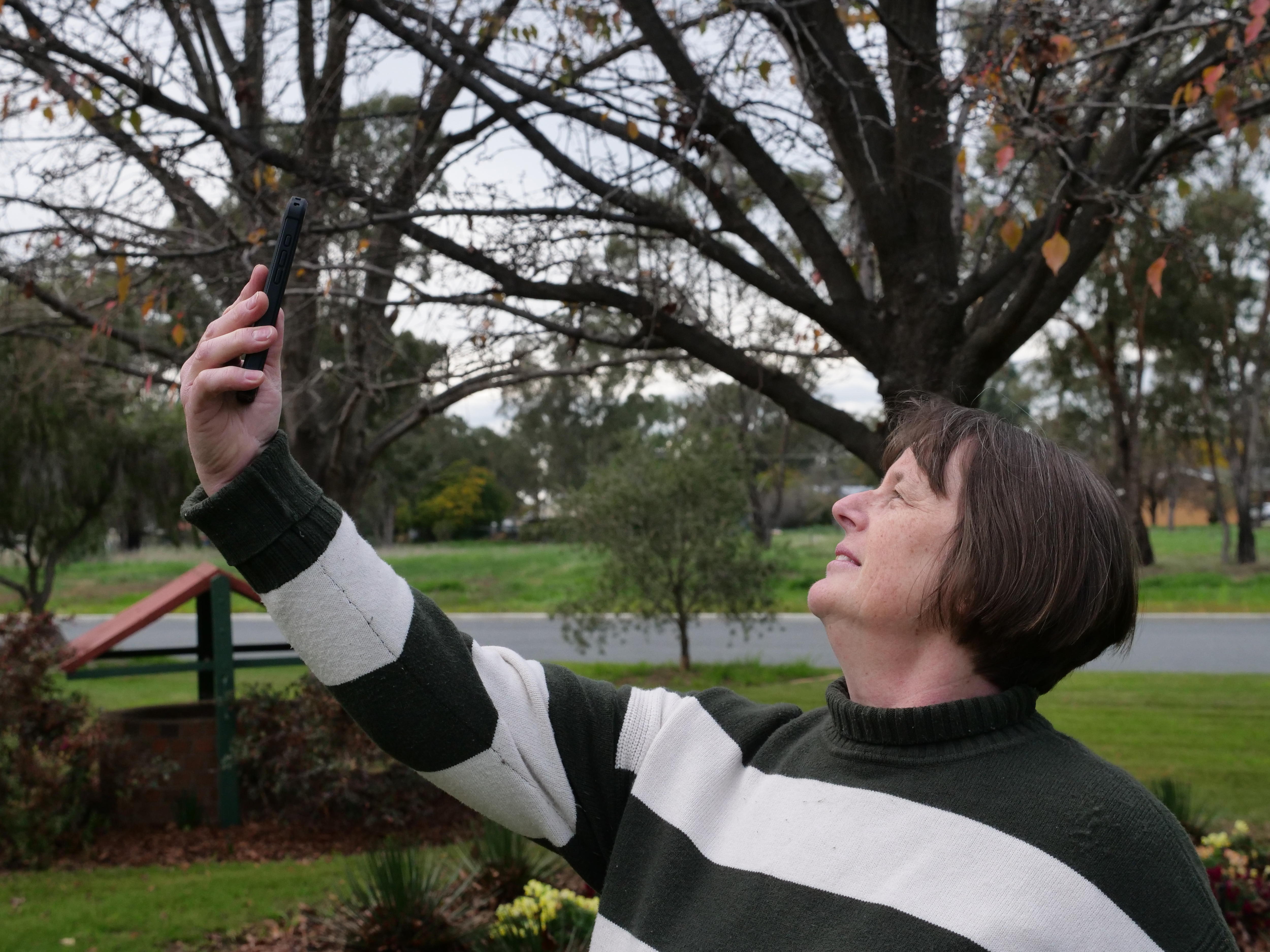 Why Telstra, Optus and TPG mobile coverage maps now look different
