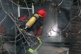 Two firefighters wearing red helmets scale ladders to peer into a smoke-filled building