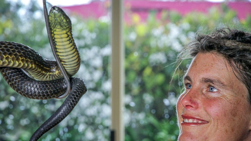 Veronika Ross examines a tiger snake at her Mt. Dromedary home