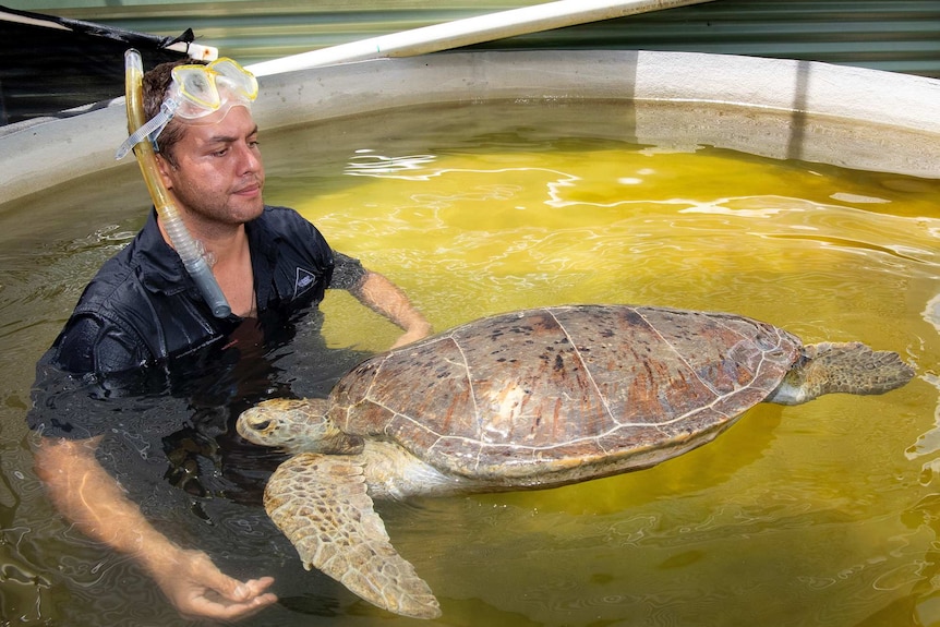 Hercules swims with carer Daniel Costa