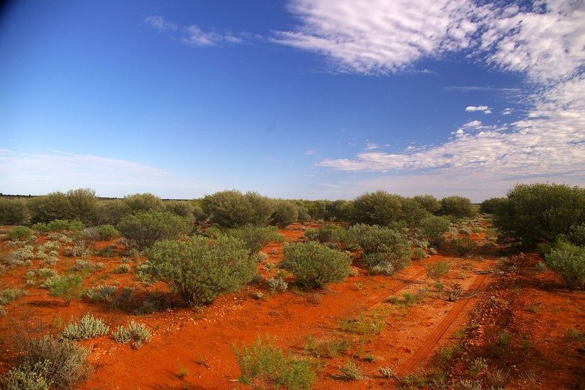 Maralinga today