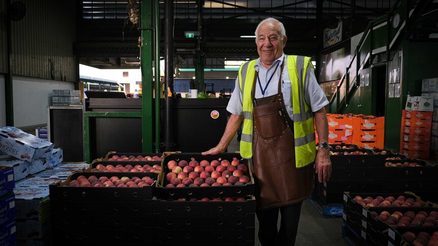 Joe Antico smiling at camera, standing next to trays of peaches.