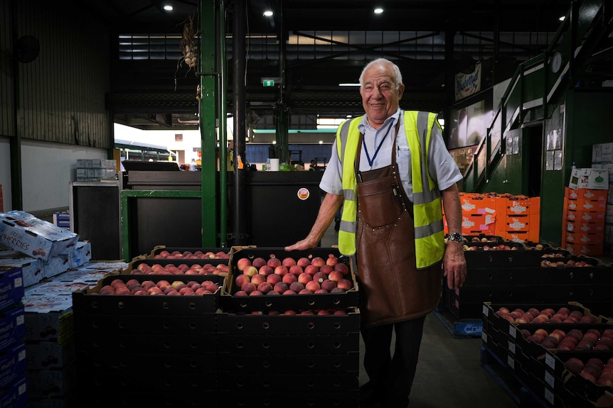 Joe Antico smiling at camera, standing next to trays of peaches.