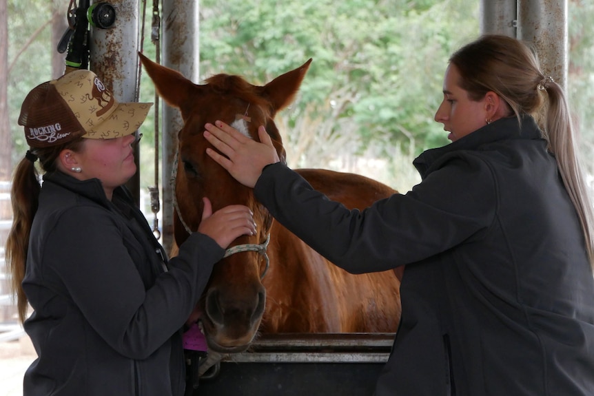 Two women stand on either side of a brown horse, hands on its head.