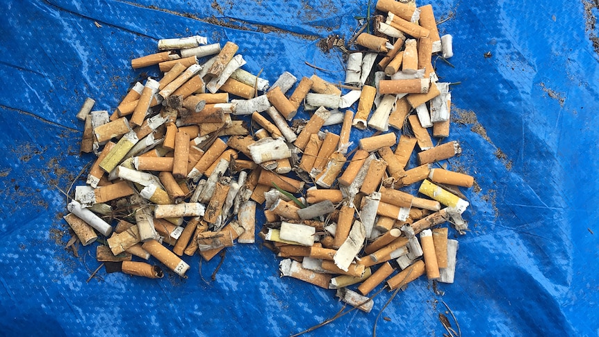 A pile of cigarette butts fashioned in to a map of Australia.