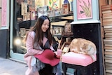 Tong Gong kneels to look at a cat sitting on a chair out the front of a shop, she is smiling.