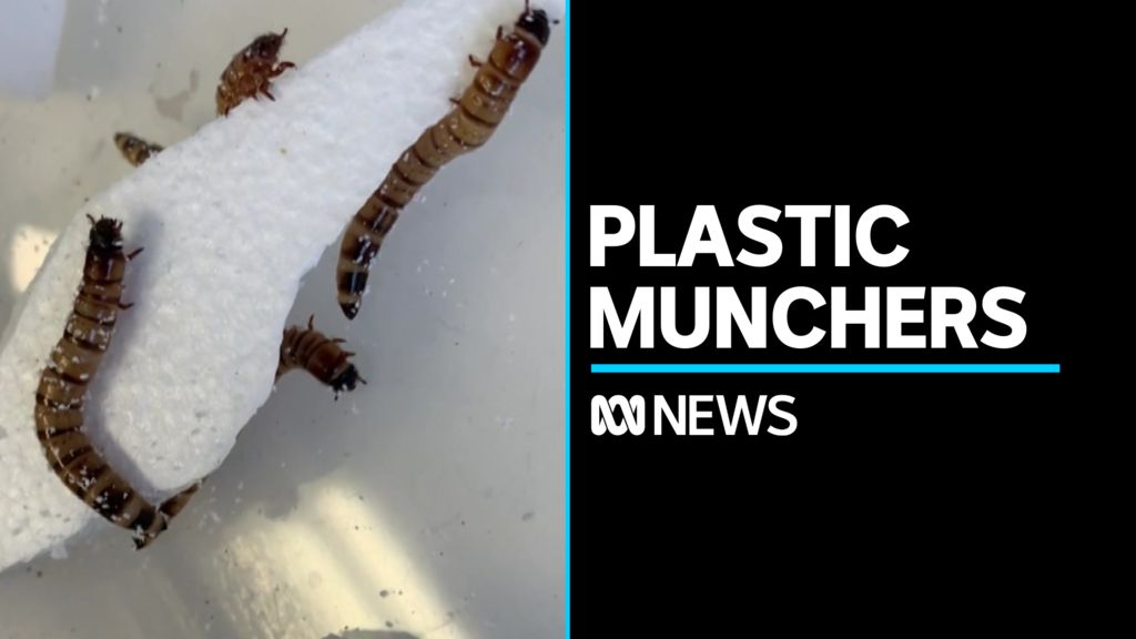 Play Video. Duration: 2 minutes 27 seconds