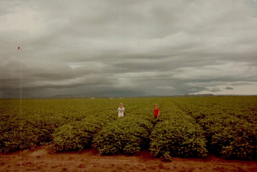 Frauke's children Fritz and Margret in a field of soybeans in Kununurra.