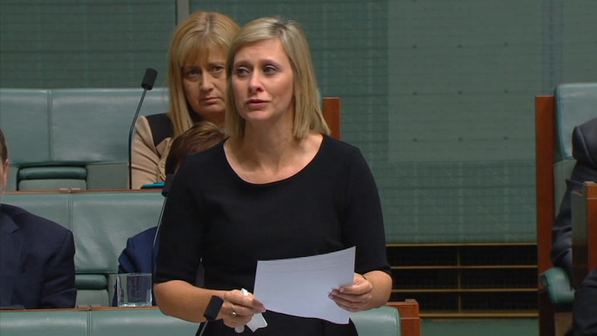 Susan Lamb made a tearful statement to the Parliament in February claiming she could not renounce her citizenship