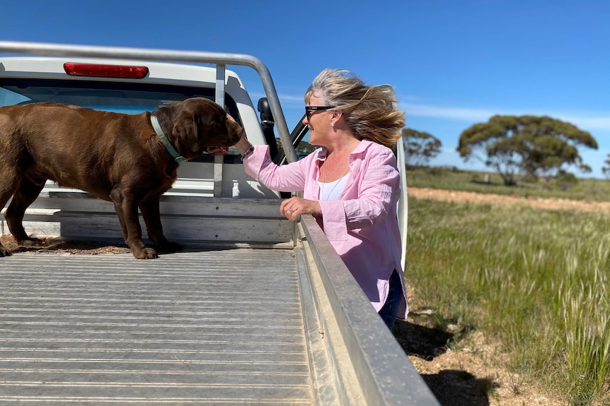 Woman stands at the side of a ute with a dog on the tray.