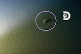 A still from video taken at the sea's deepest point, the Mariana Trench, which is believed to show manmade rubbish.