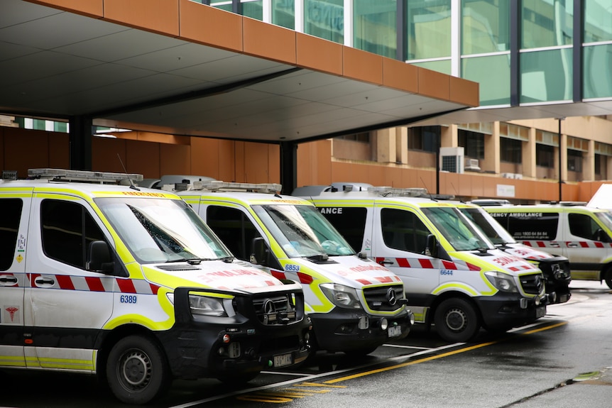 A row of parked ambulances.