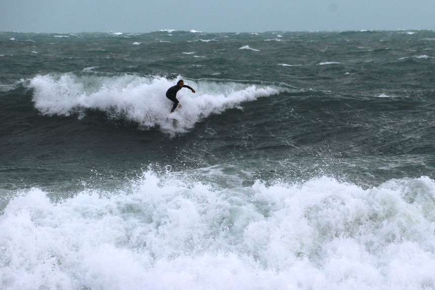 A man surfs a wave in a huge swell.