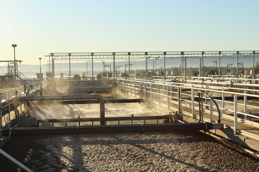 Sewage at a water processing facility