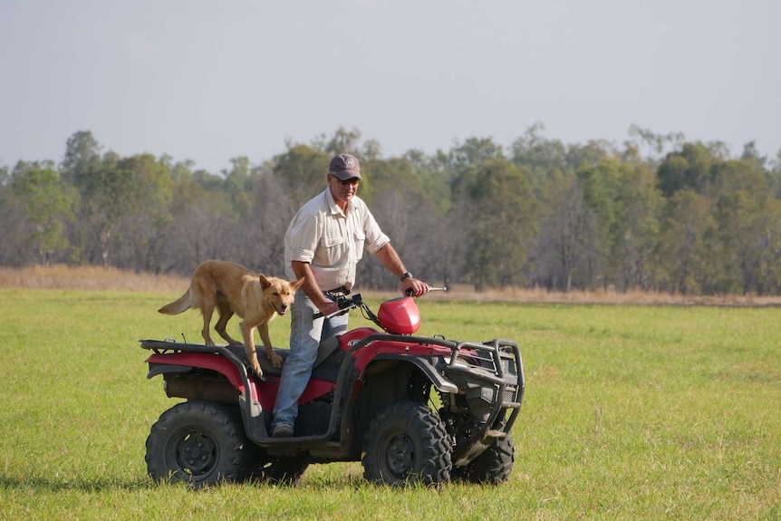 A man rides a red quad bike in a paddock with a dog on the back.