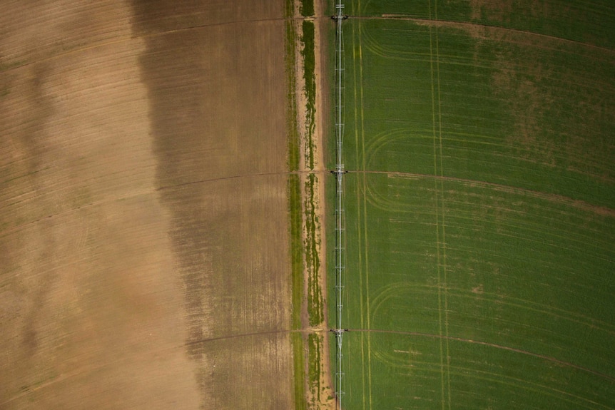 A drone picture of dry and irrigated land next to each other