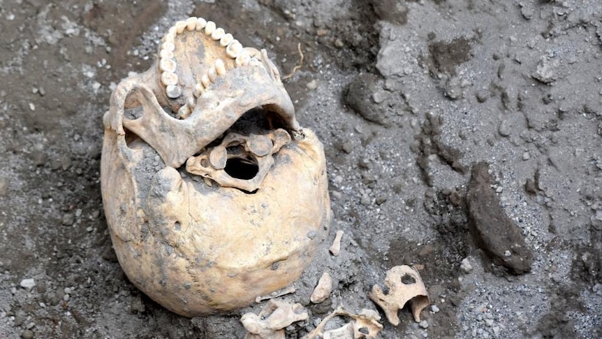 A skull sits among the dirt and rock near Pompeii, near Naples