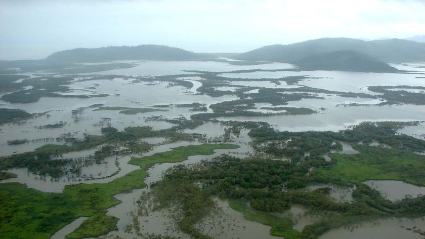 Floodwaters cover a vast expanse of land outside of the north Queensland town of Ingham (ABC: Megan Pailthorpe)