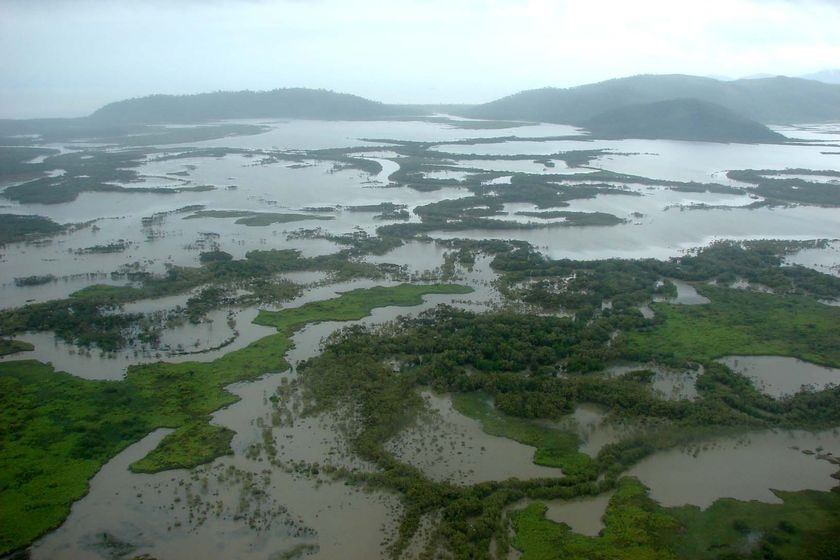 Floodwaters cover a vast expanse of land outside of the north Queensland town of Ingham (ABC: Megan Pailthorpe)