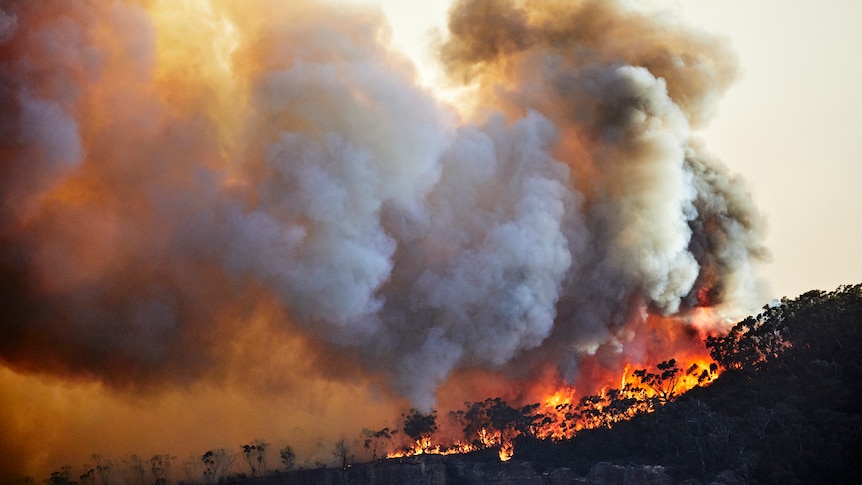 bushfire and smoke in Blue Mountains