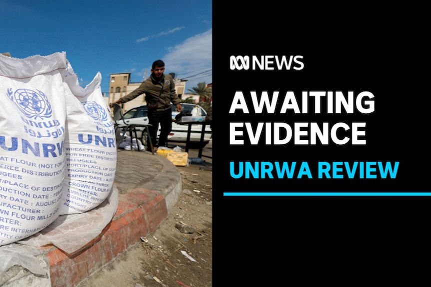 Awaiting evidence: UNRWA review: A man approached two white sacks labelled "UNRWA".