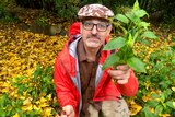 A man holds up a branch of spinach
