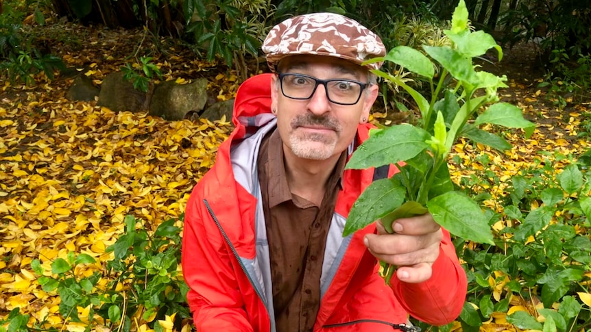 A man holds up a branch of spinach