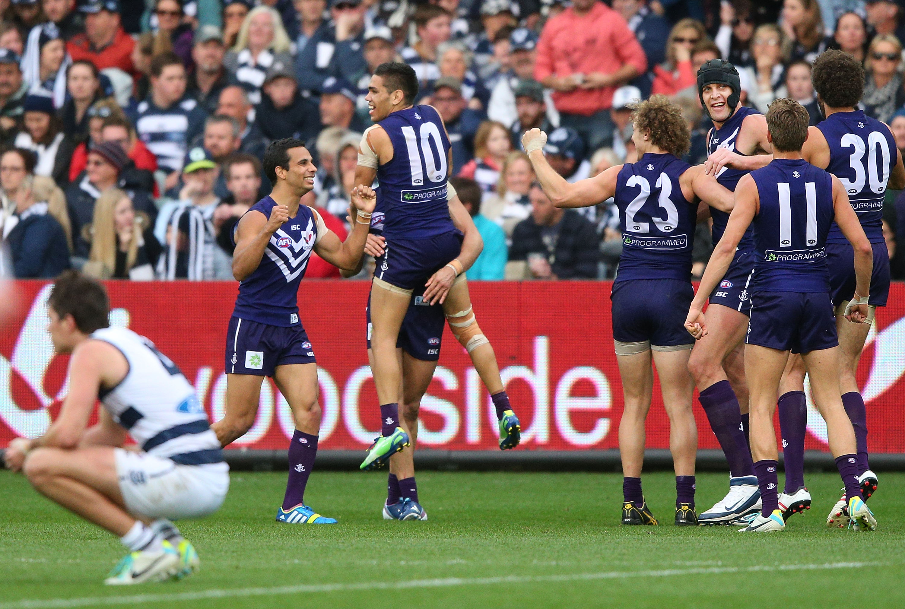 A dejected Geelong player crouches down as a group of Fremantle players celebrate a finals win.