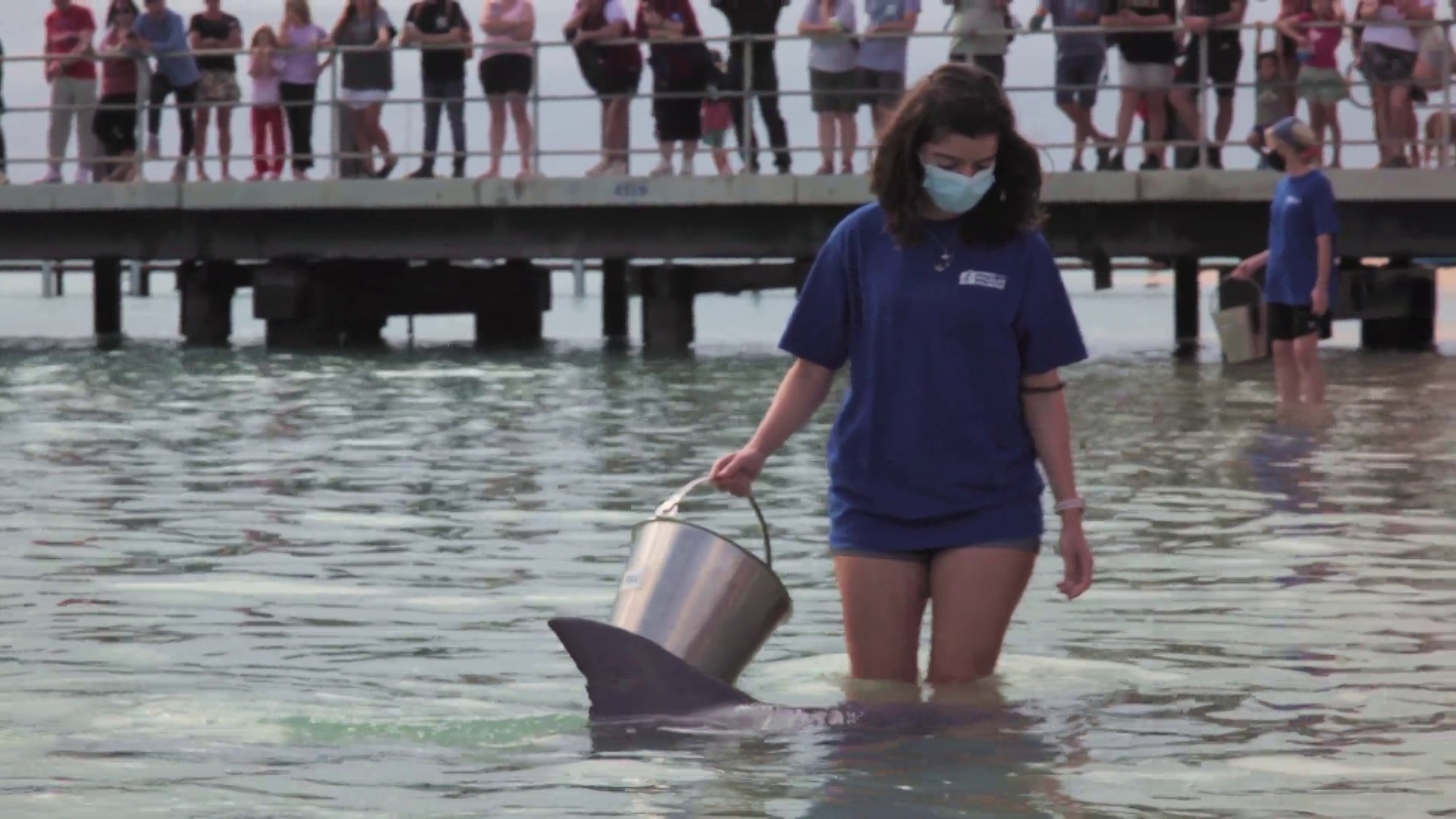 Una joven se encuentra en el agua con un cubo, junto a un delfín.