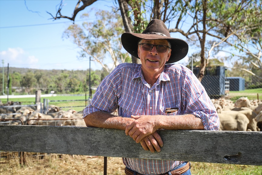 man sitting on fence with sheep