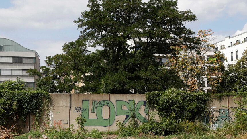 Bushes near lost section of Berlin Wall