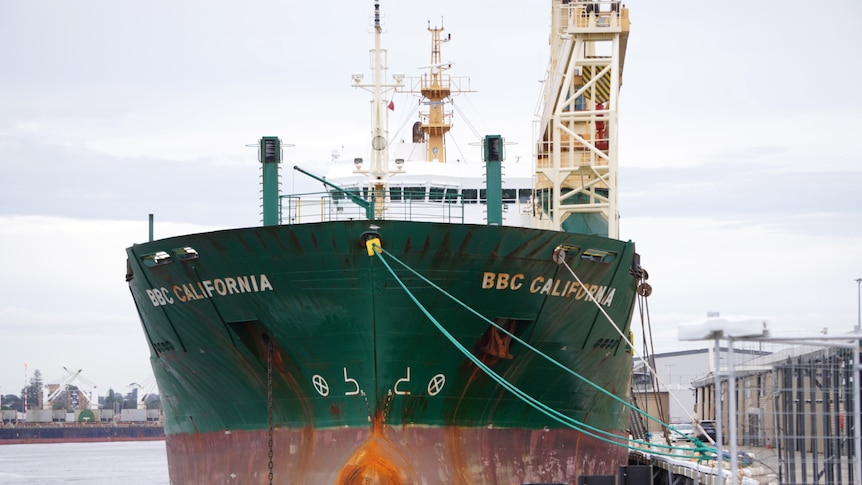 Front on shot of a large cargo ship berthed.