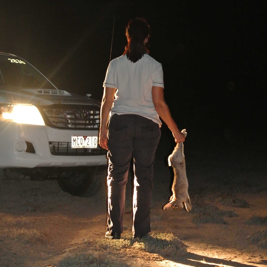 Dr Tarnya Cox holds a dead rabbit.