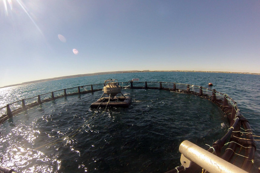 A circular cordon in the ocean with a monitoring device floating in it.
