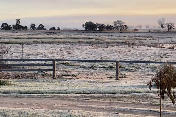 Frost across field south of Warwick