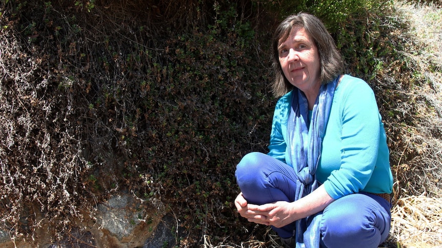 Woman crouches beside the retaining wall in her garden where a brown snake had been living.
