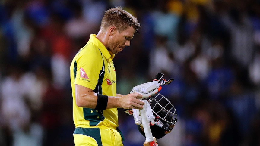 David Warner treads off after getting out against India