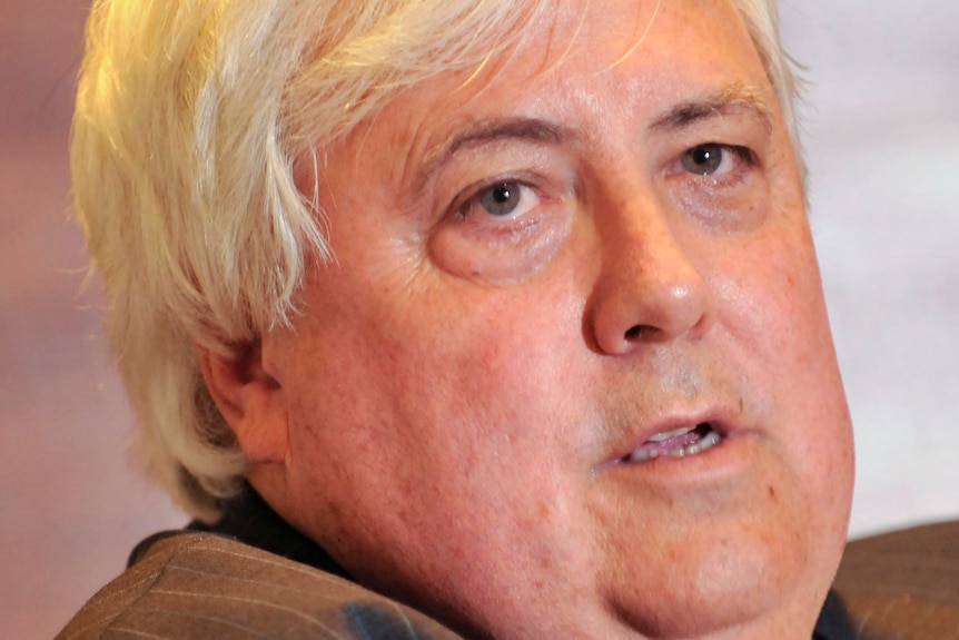 Mining executive Clive Palmer